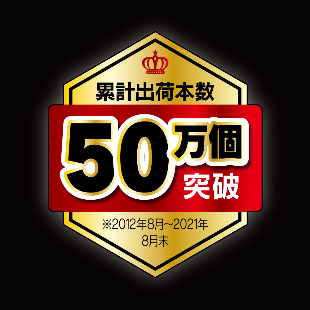 for iPad 高透明 レンズ保護フィルム 2枚セット(販売終了)