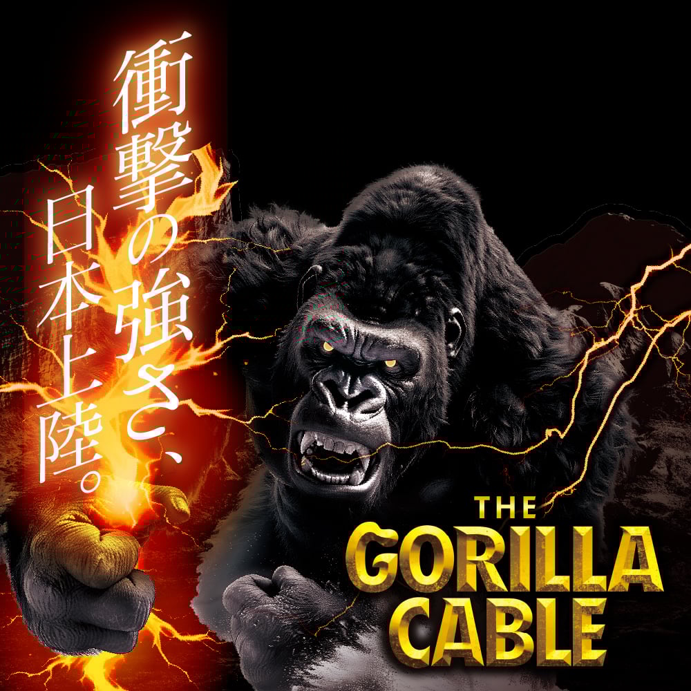 Gorillaケーブル C to C 60W 0.8m