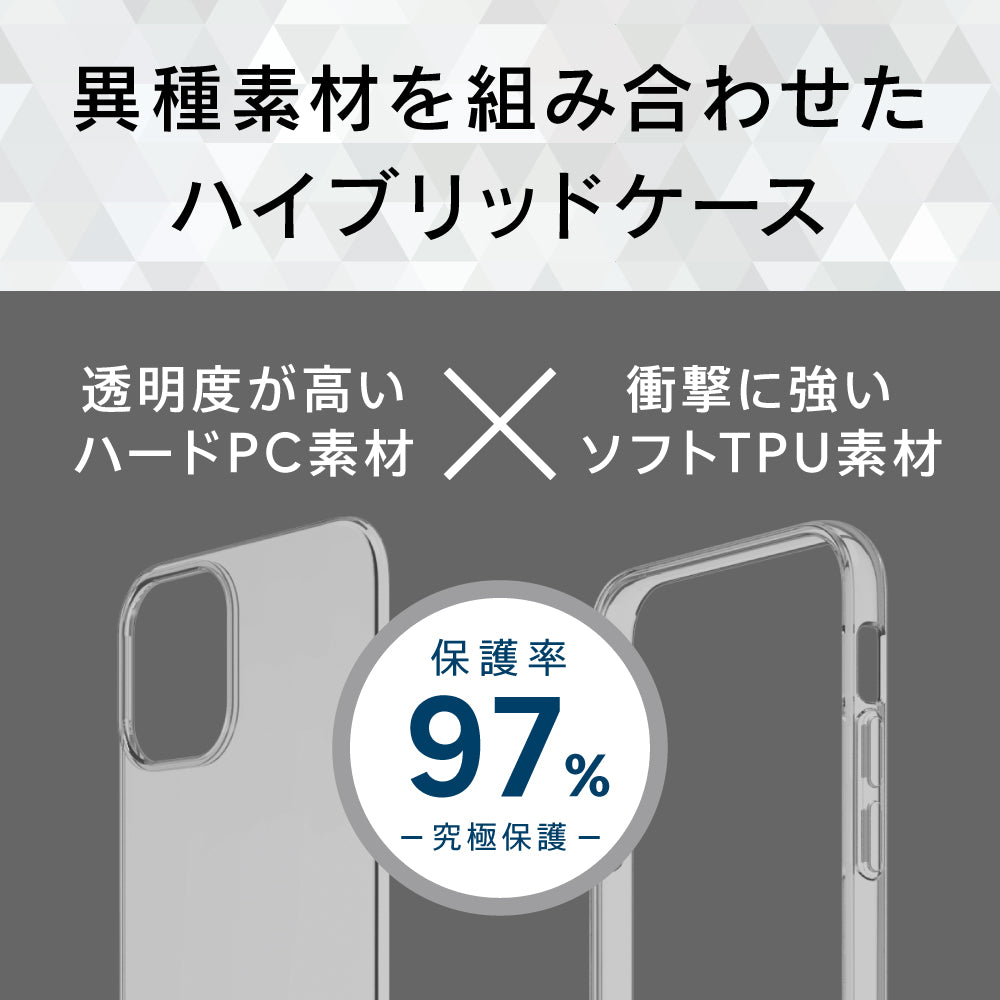 for iPhone [Turtle] ハイブリッドケース ホログラム（販売終了）