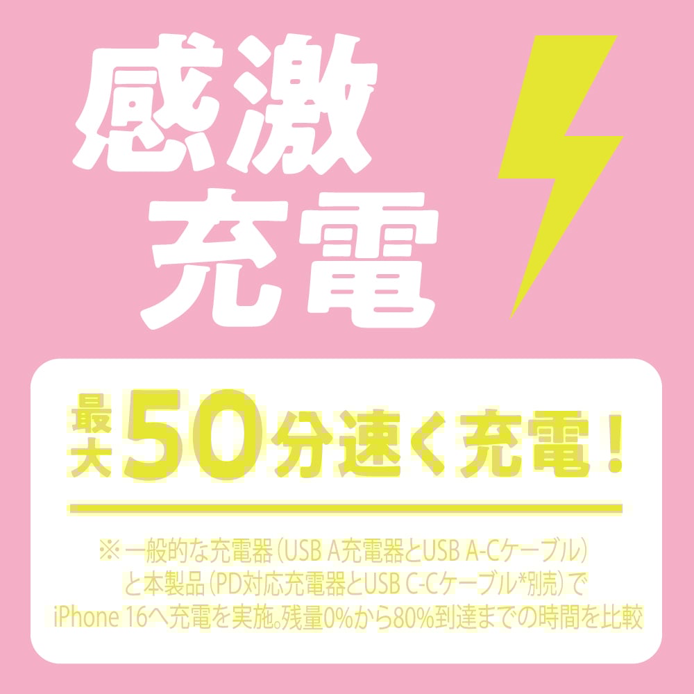[1000％] 20Wチャージャー Type-C 1ポート